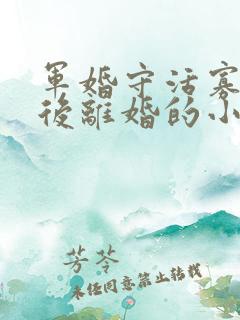 军婚守活寡重生后离婚的小说