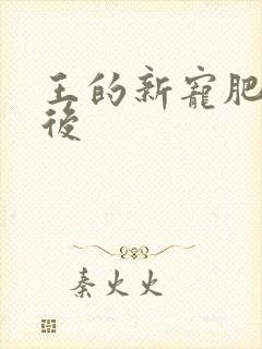 王的新宠肥婆皇后