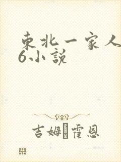东北一家人1一6小说