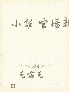 小说 官场新贵