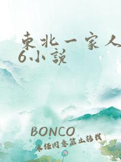 东北一家人1一6小说