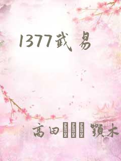 1377武易