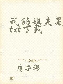 我的姐夫是太子txt下载