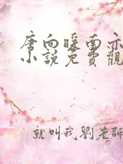 唐向暖南亦琛的小说免费观看