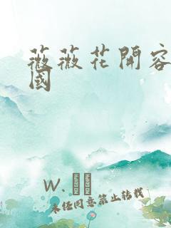 薇薇花开容颜倾国