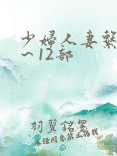 少妇人妻系列1～12部