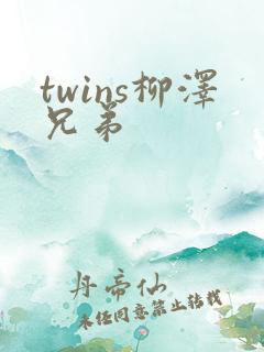 twins柳泽兄弟