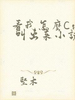 看我怎么C你的 叫出来小说