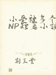 小受被多个攻强NP短篇小说
