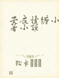子夜情缠小说原著小说