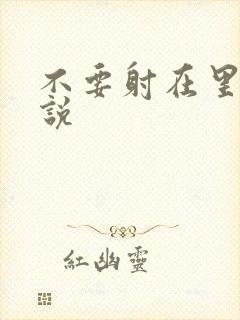 不要射在里面小说