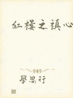 红楼之禛心锁玉