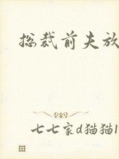 总裁前夫放了我