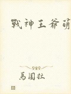 战神王爷萌虎妃