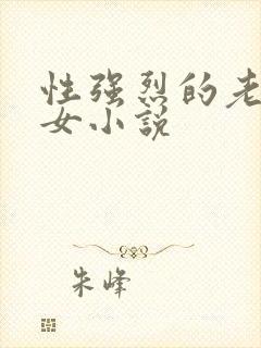 性强烈的老年妇女小说