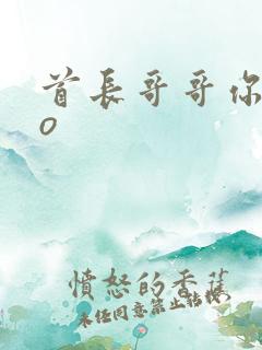 首长哥哥你好po