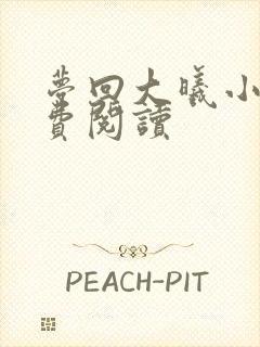 梦回大曦小说免费阅读