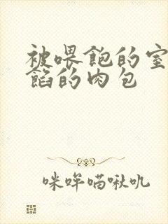 被喂饱的室友爆馅的肉包