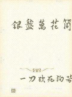 银盘万花筒小说