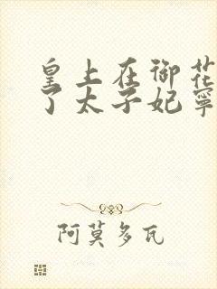 皇上在御花园C了太子妃宁儿