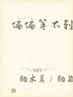 偏偏等不到小说
