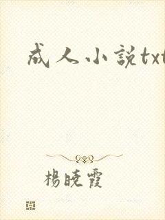 成人小说txt