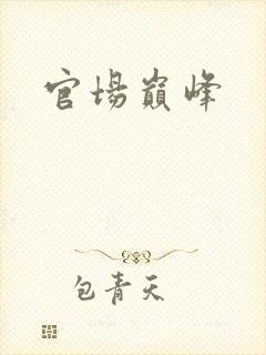官场巅峰