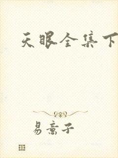 天眼全集下载