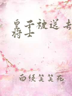 皇子被送去犒劳将士