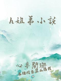 h姐弟小说
