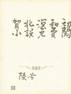 贺北溟和初夏的小说免费阅读无弹窗