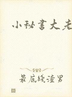 小秘书大老婆