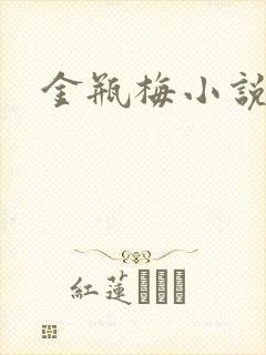 金瓶梅小说下载