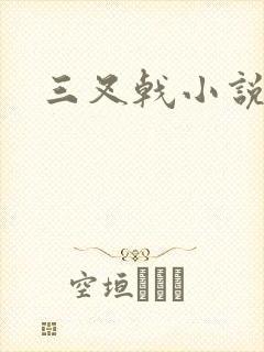 三叉戟小说