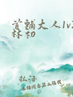 首辅大人1v2林初