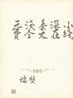 元浅秦深小说免费全文在线