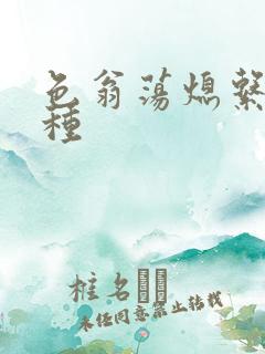 色翁荡熄系列借种