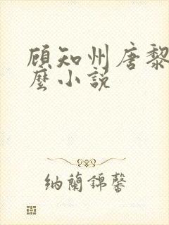 顾知州唐黎叫什么小说