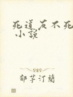 死道友不死贫道 小说