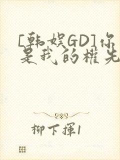 [韩娱GD]你是我的权先生