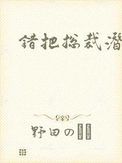 错把总裁潜规则