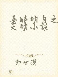 秦时明月之夜尽天明小说