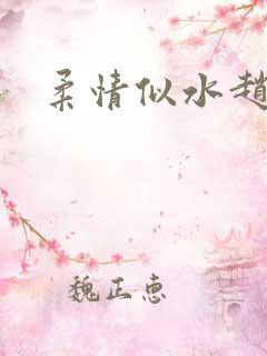 柔情似水赵雅儿