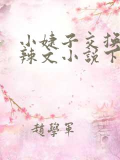 小婕子交换系列辣文小说下载