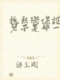 魏熙珊保护萧峥儿子是哪一集