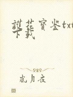 护花宝鉴txt下载