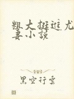 粗大挺进尤物娇妻小说