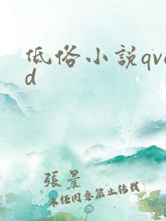 低俗小说qvod