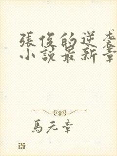 张俊的逆袭之路小说最新章节