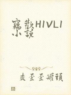 窃欢H1VL1小说